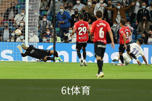 6t体育公司简介图片